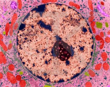 File written by Adobe Photoshop� 4.0